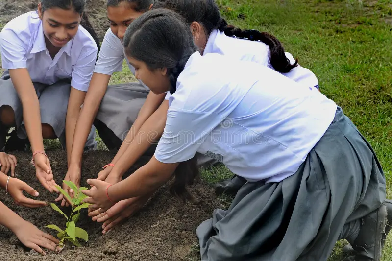 Tree Plantation & Environment Awareness